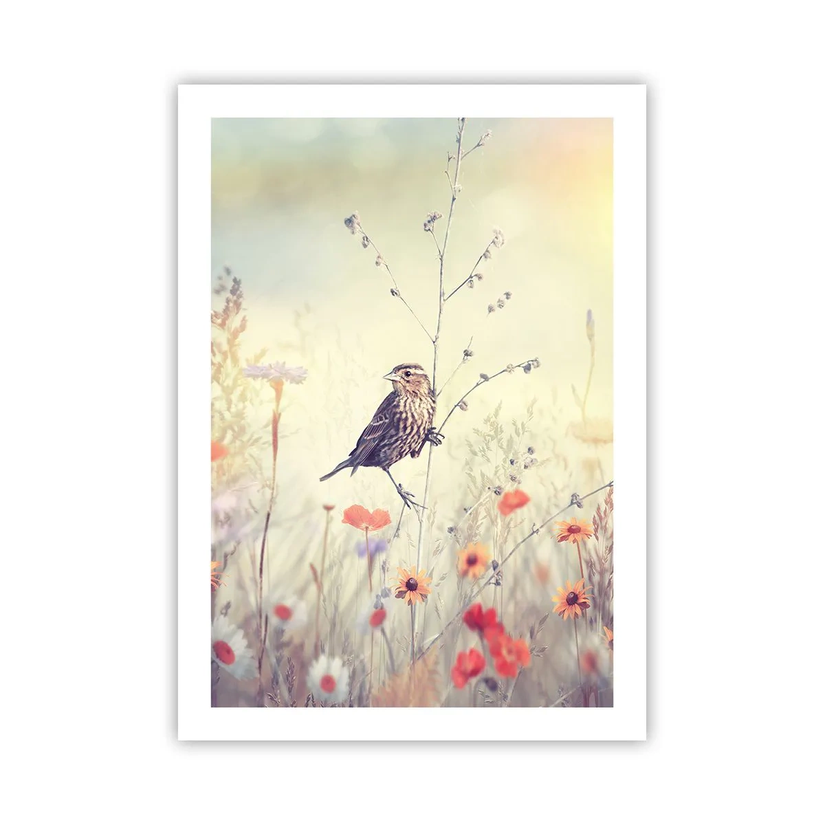 Poster - Bird Portrait with a Meadow in the Background - 50x70 cm