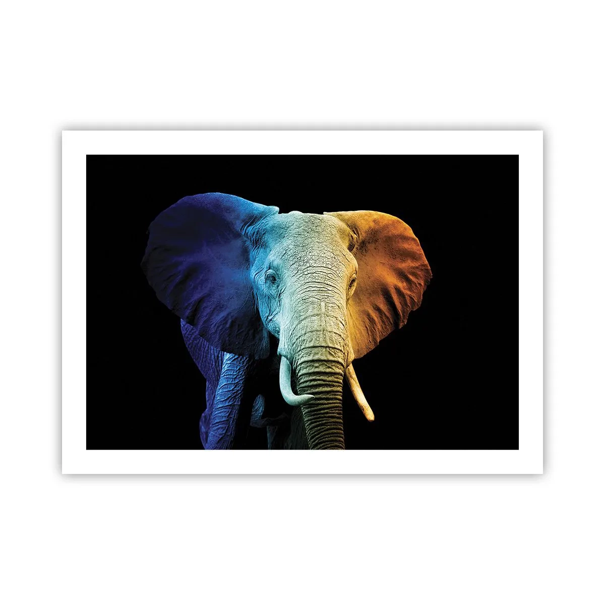 Poster - Eccentric, Not a Weirdo - 70x50 cm