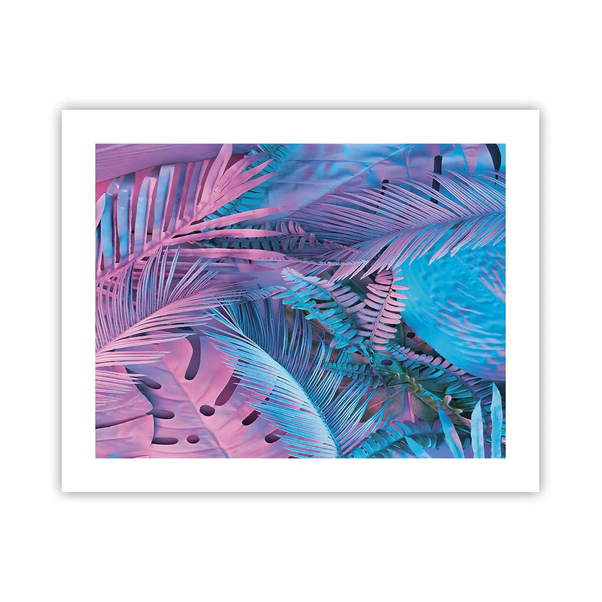 Poster - Tropics in Pink and Blue - 50x40 cm