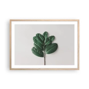 Poster in light oak frame - Drawing of Nature Itself - 70x50 cm