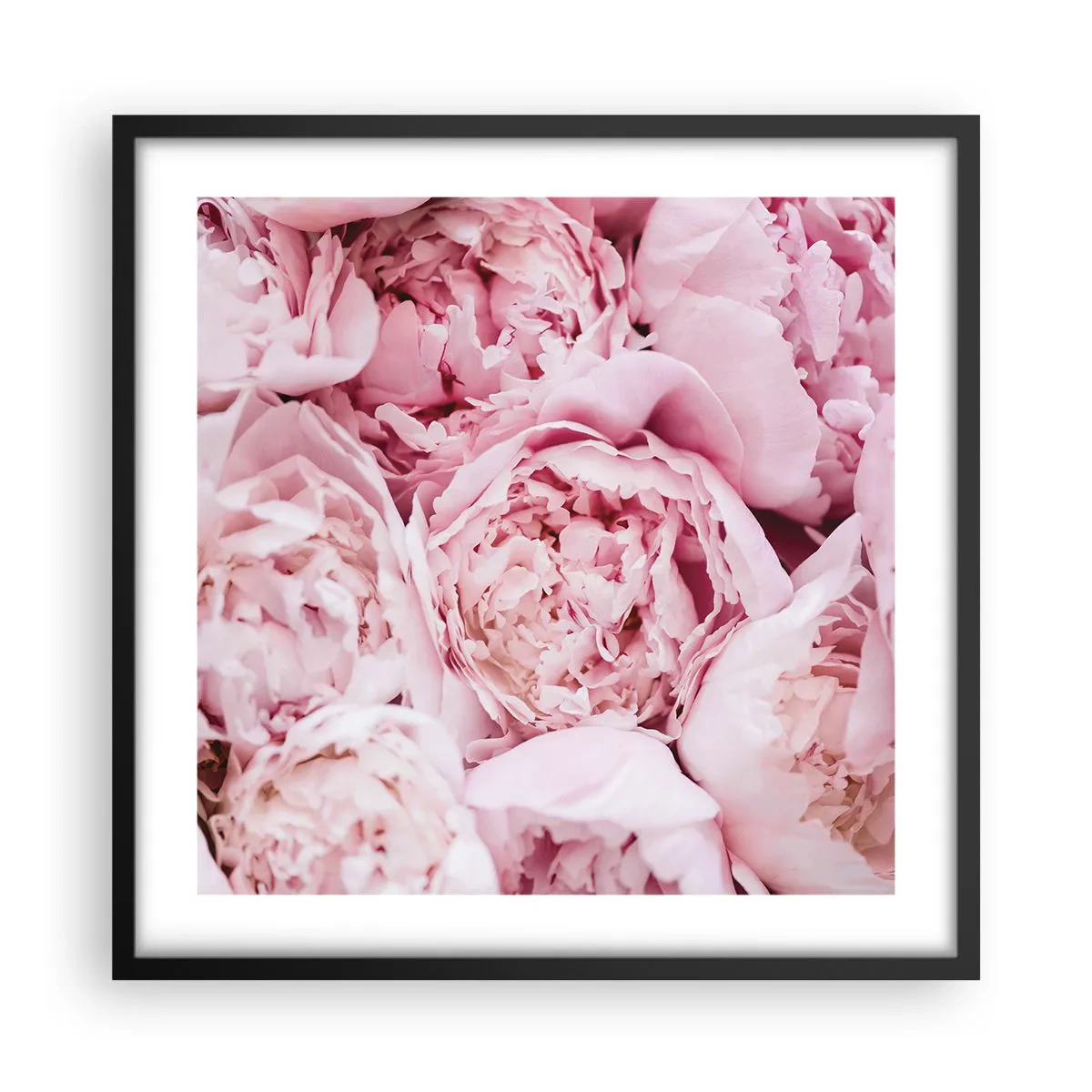 Poster in black frame - Cuddly and Fragrant - 50x50 cm