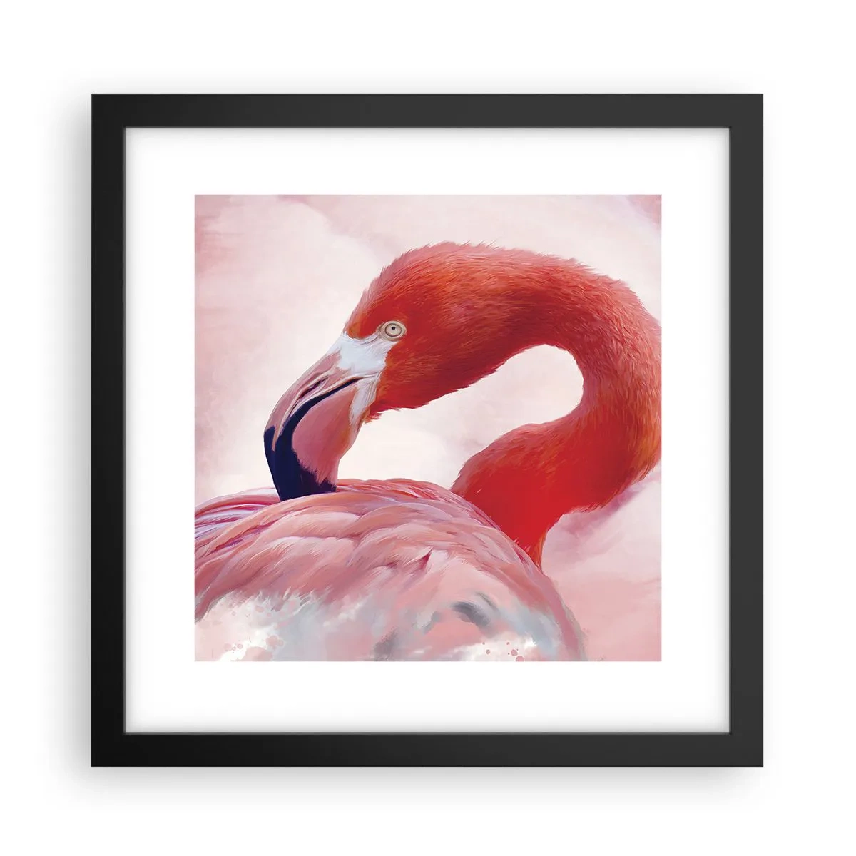 Poster in black frame - Bird Look - 30x30 cm