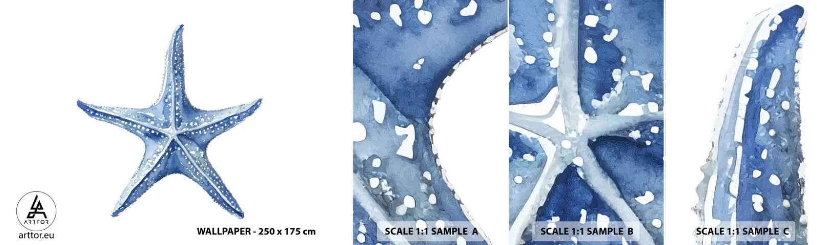 Photo Wallpaper Sample Standard Eco - Sea Star - Starfish, Seaside, Coral reef - 100x30 cm