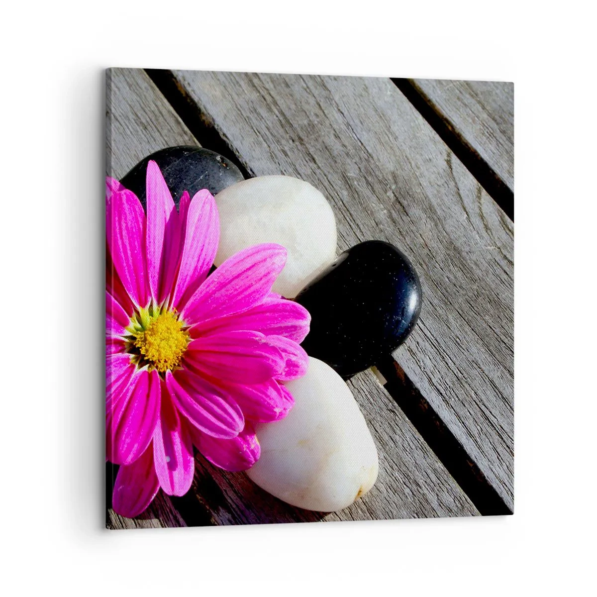 Canvas picture - Rest on a Pier - 60x60 cm