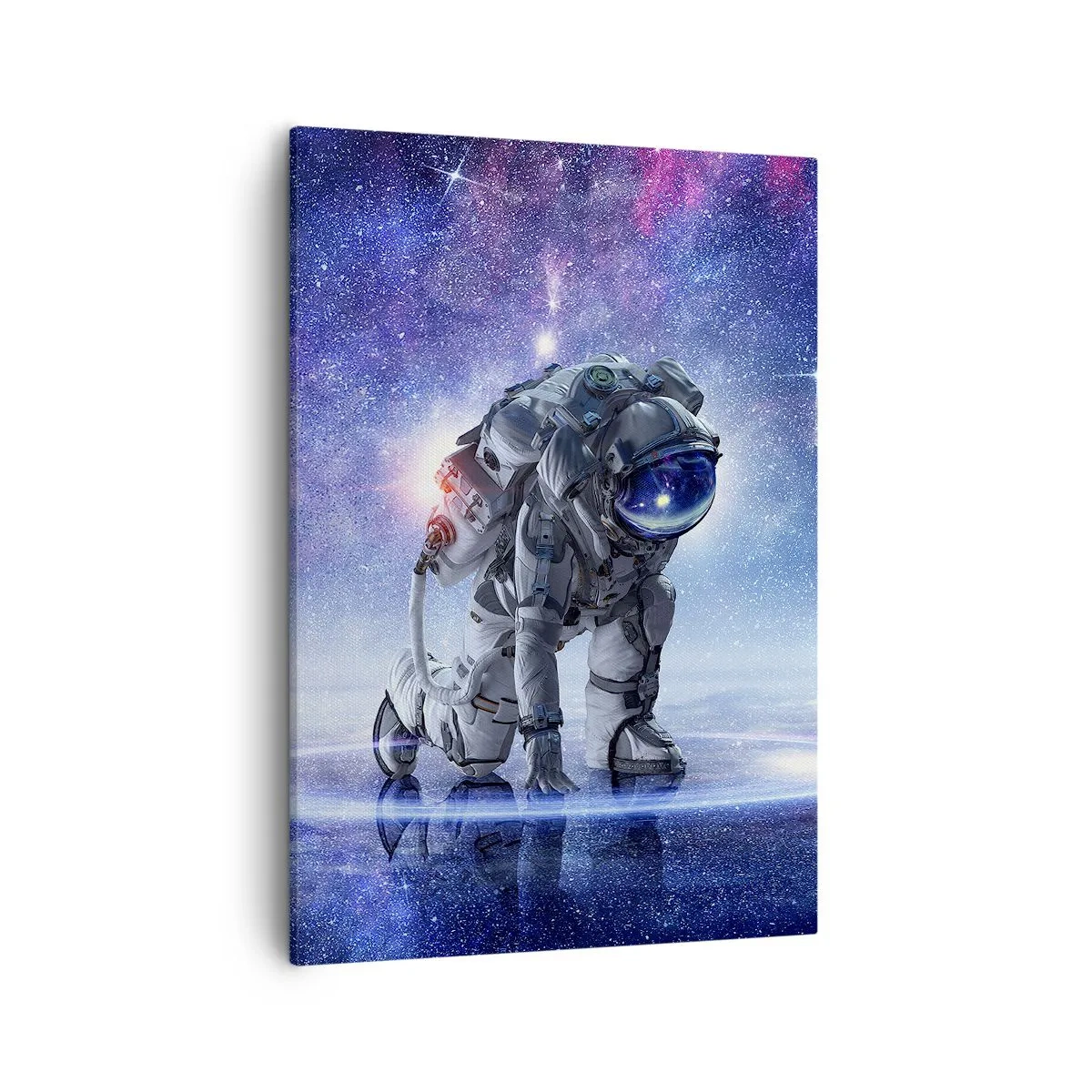 Canvas picture - Starry Night above Me - 50x70 cm