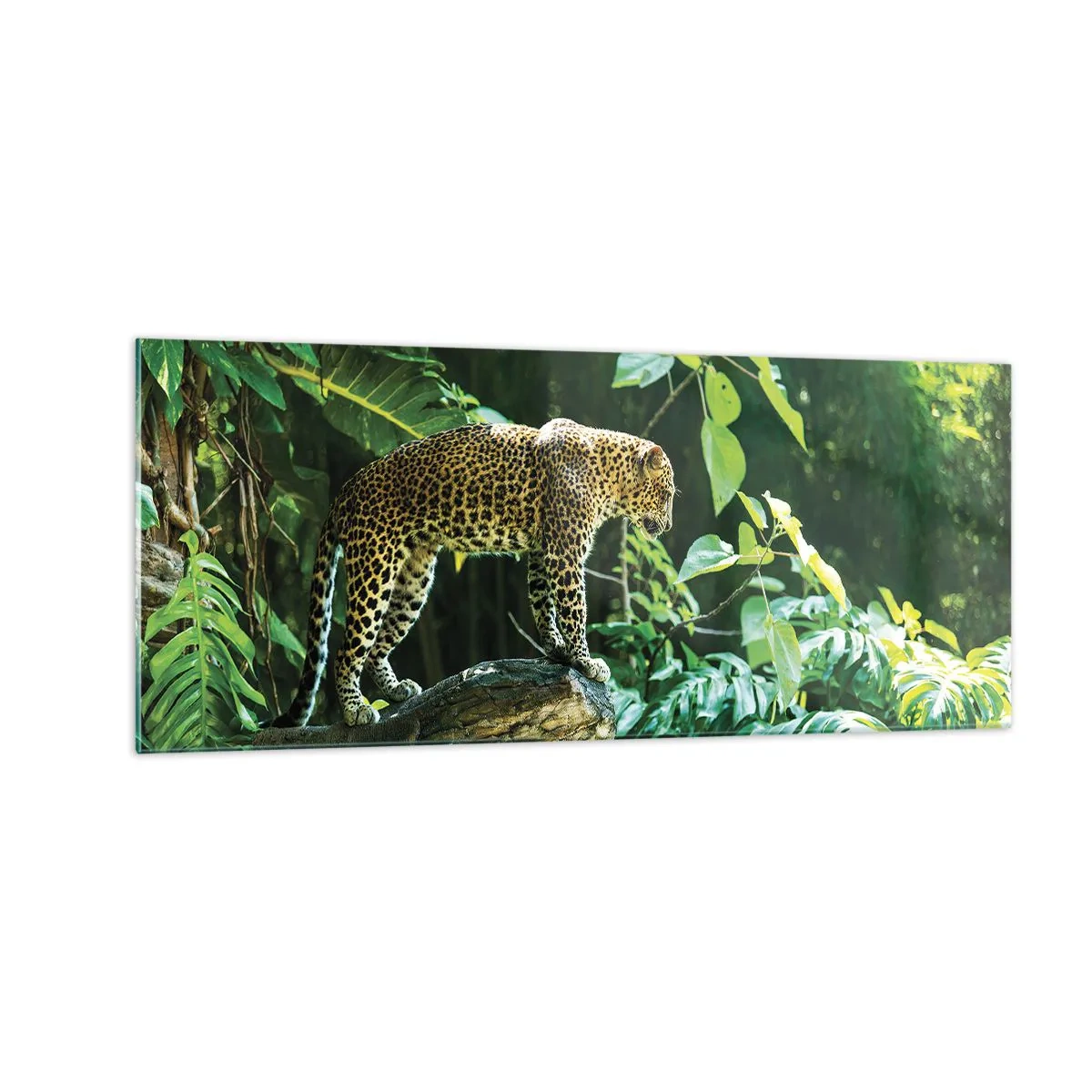 Glass picture - Going Hunting? - 100x40 cm