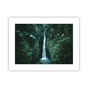 Poster - Tropical Spring - 40x30 cm