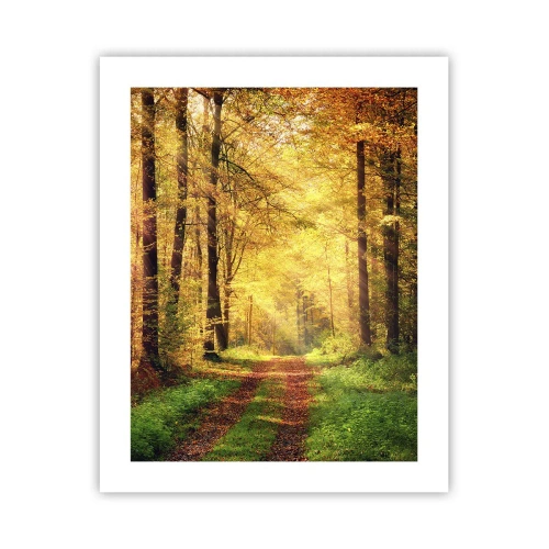 Poster - Forest Golden silence - 40x50 cm
