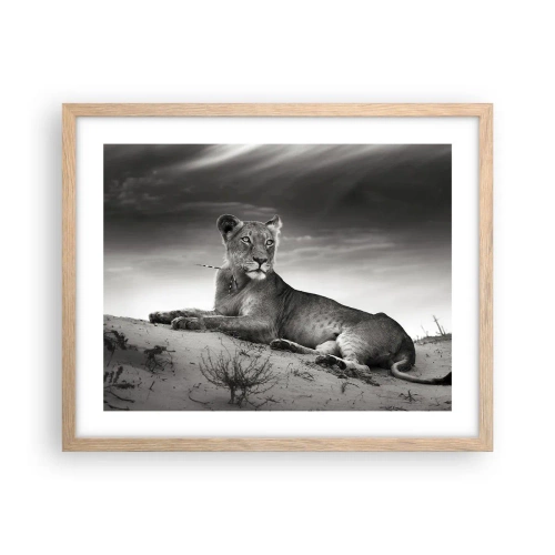 Poster in light oak frame - Queen of Desert Is Resting - 50x40 cm