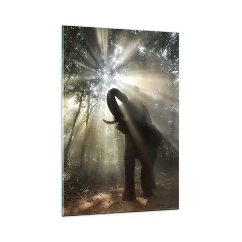 Glass picture - Under a Lucky Star - 80x120 cm
