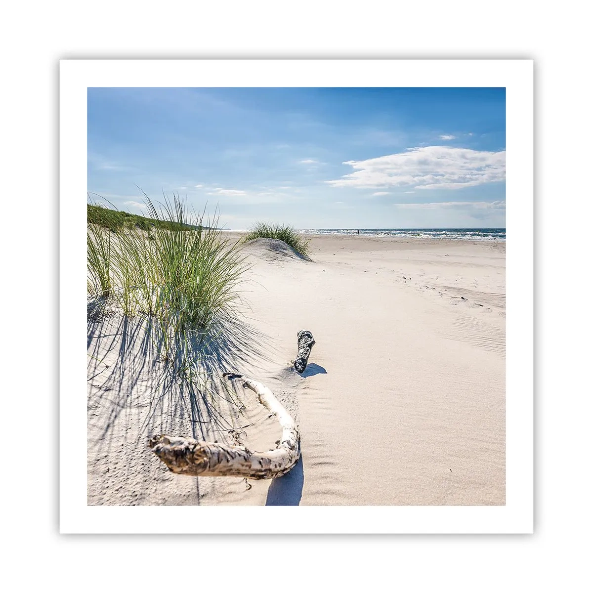 Poster - The Most Beautiful? Baltic One - 60x60 cm
