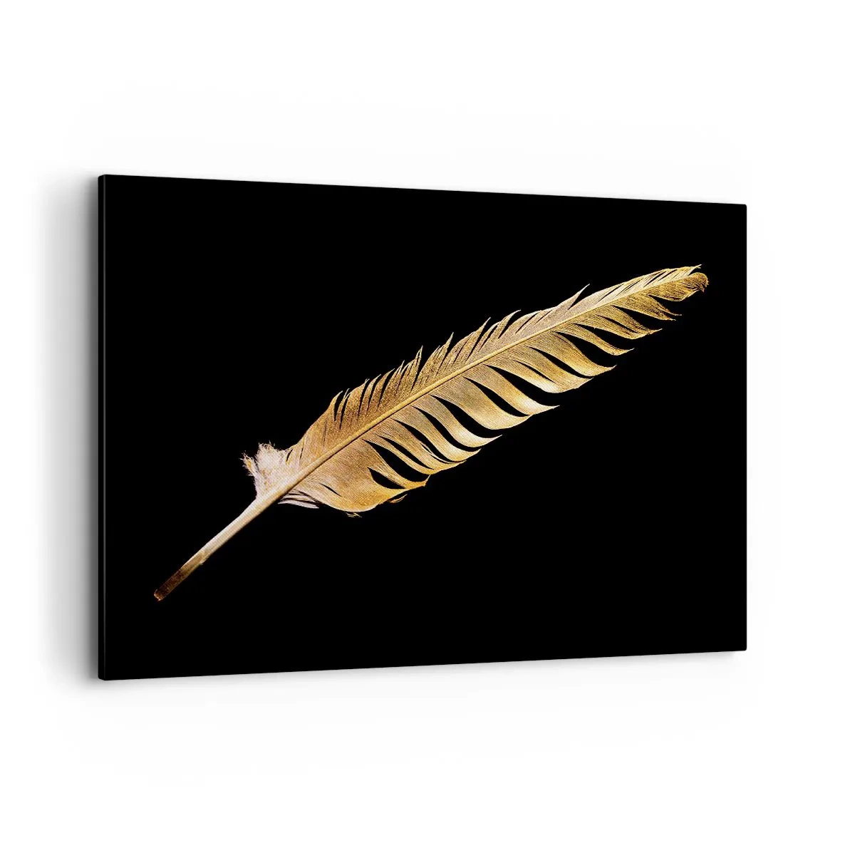 Canvas picture - High-Class Feather - 120x80 cm