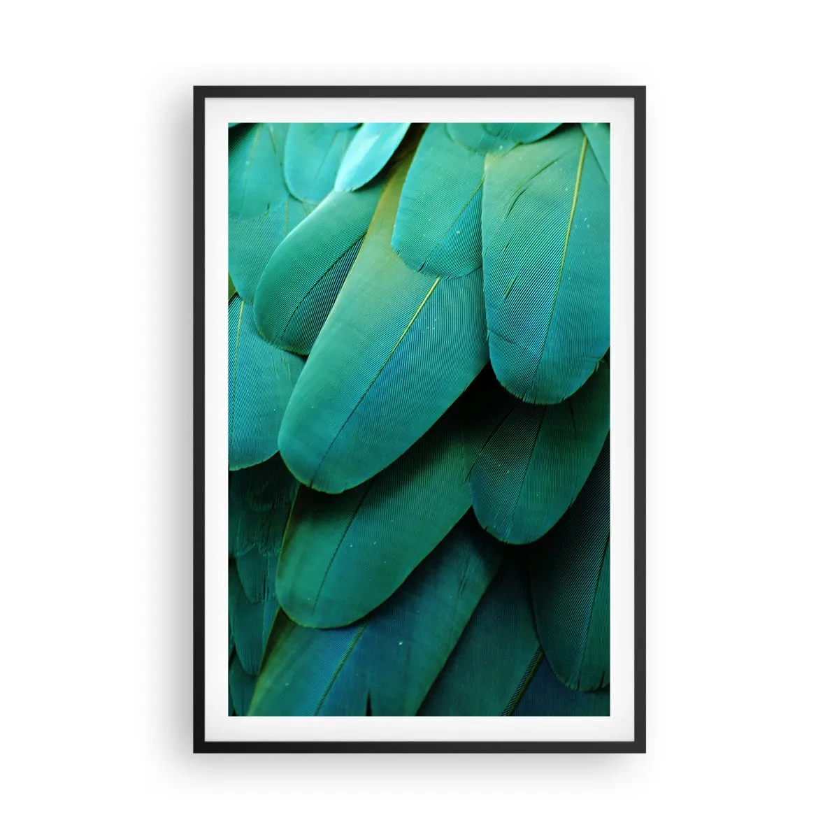 Poster in black frame - Precision of Parrot Nature - 61x91 cm