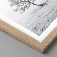 Light Oak