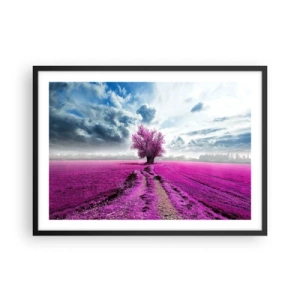 Poster in black frame - Heathland Charm - 70x50 cm