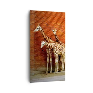 Canvas picture - Can You See an Acacia? - 55x100 cm