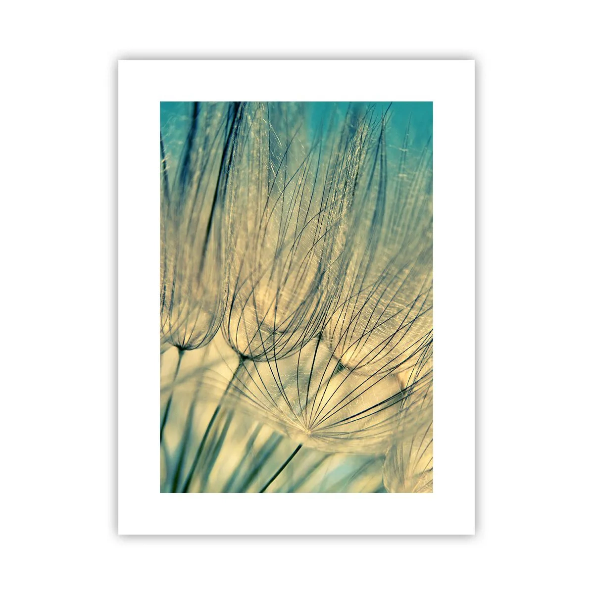 Poster - Waiting for the Wind - 30x40 cm