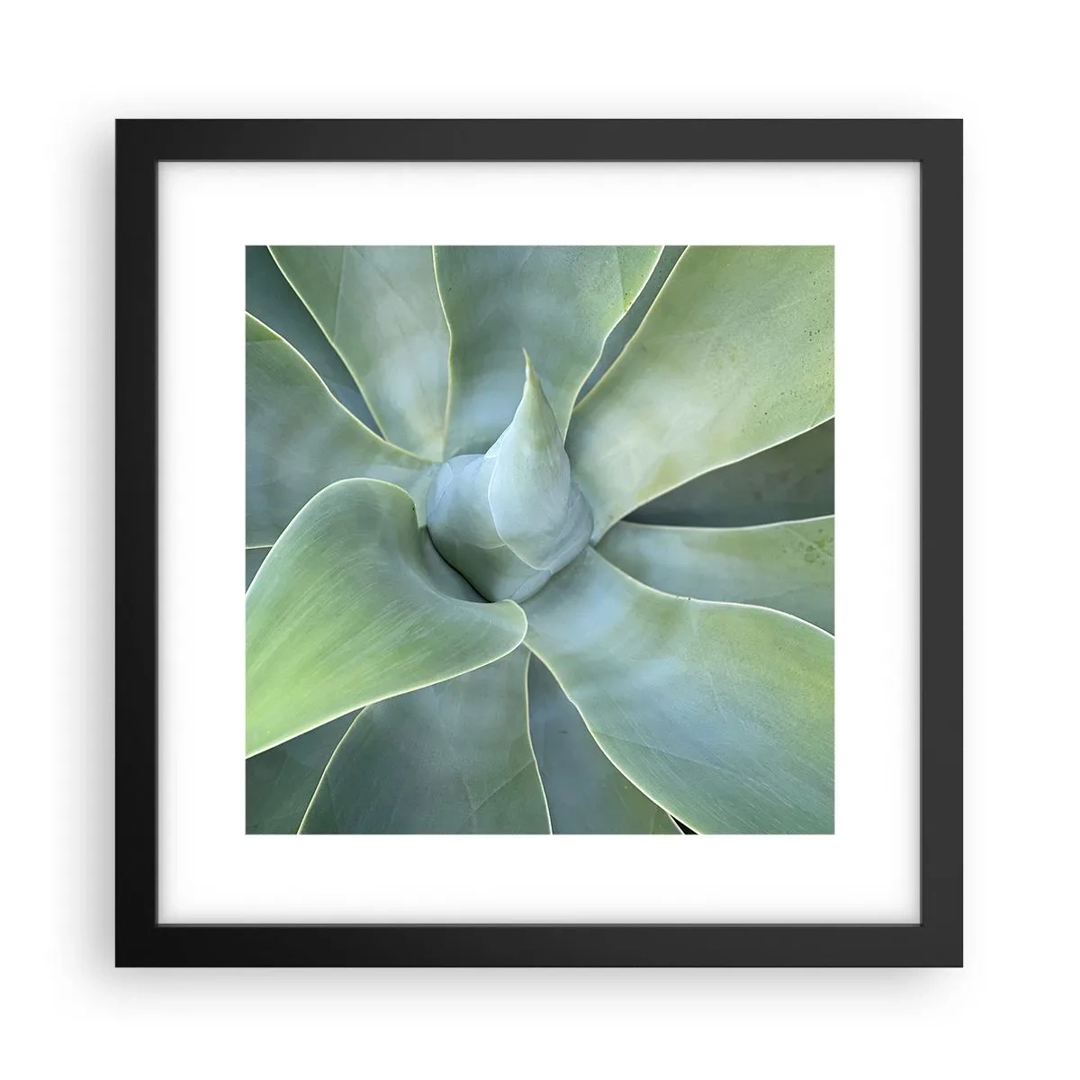 Poster in black frame - Birth of Green - 30x30 cm