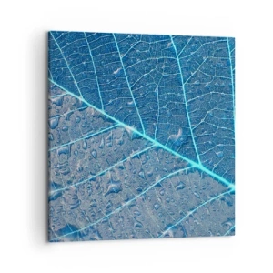Canvas picture - Life in the Blue - 50x50 cm