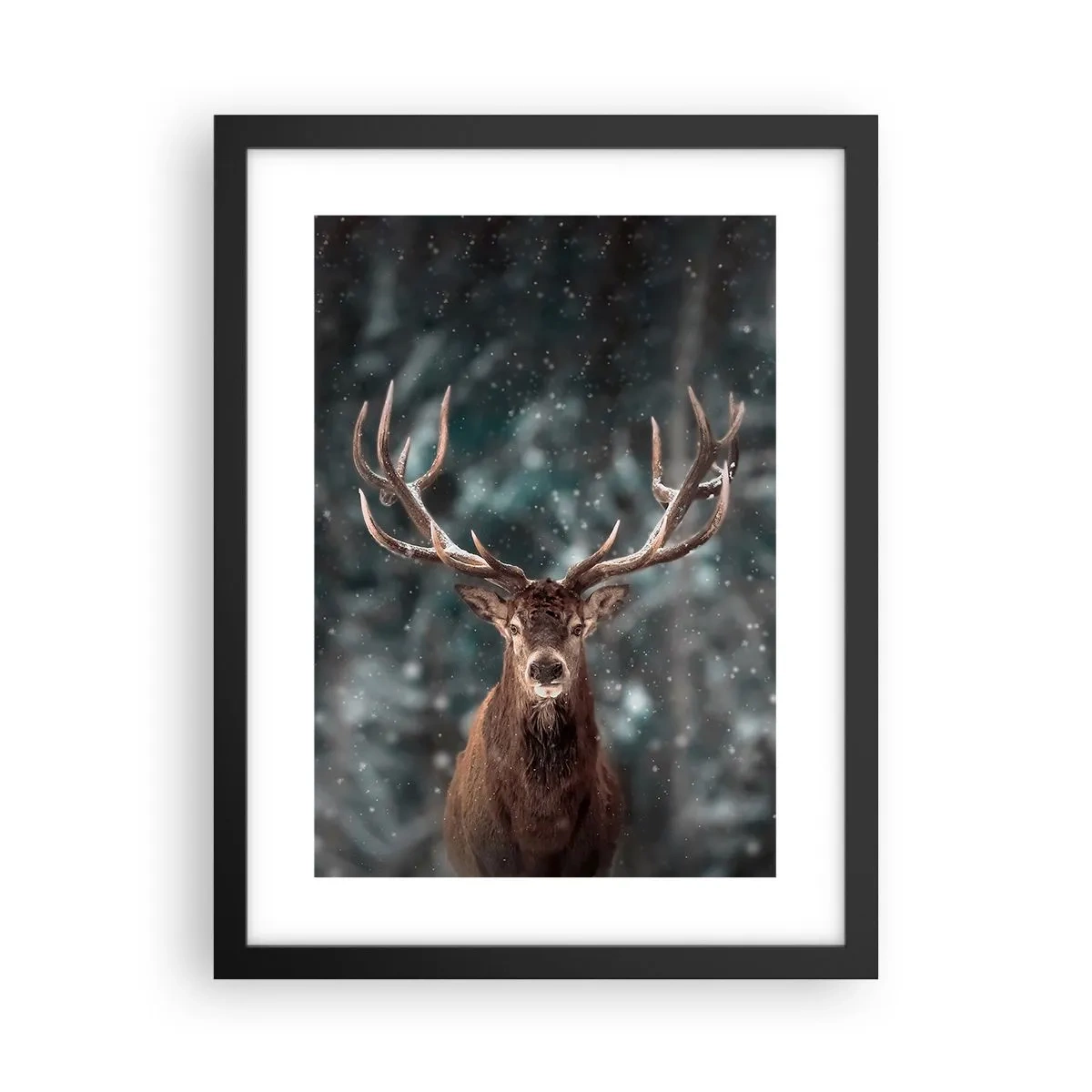 Poster in black frame - King of Forest Crowned - 30x40 cm