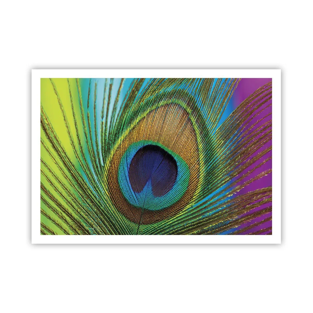 Poster - Eye to Eye - 100x70 cm