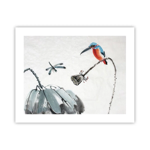 Poster - Life of a Meadow - 50x40 cm