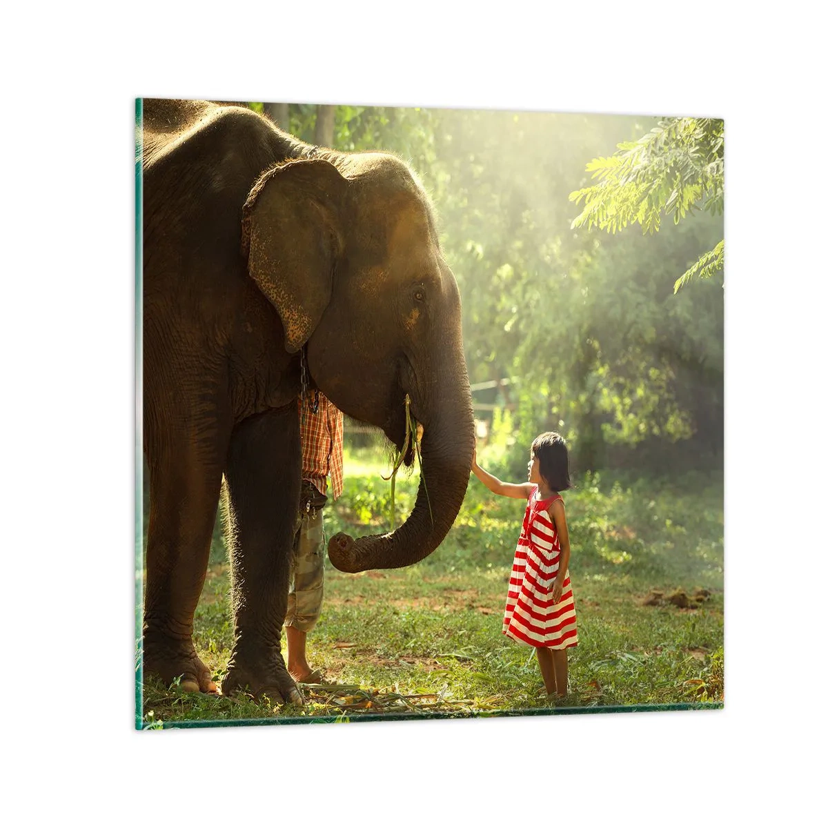 Glass picture - Power of Friendship - 30x30 cm