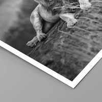 Unframed