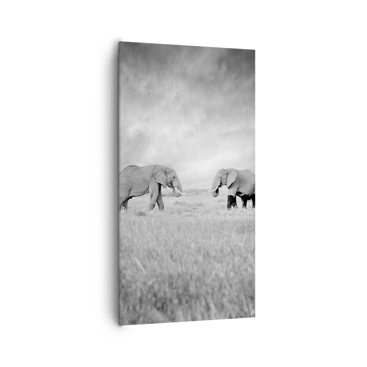 Canvas picture - Grey Is Beautiful - 65x120 cm