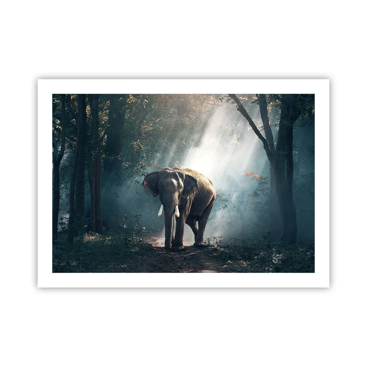 Poster - Quiet Stroll - 70x50 cm