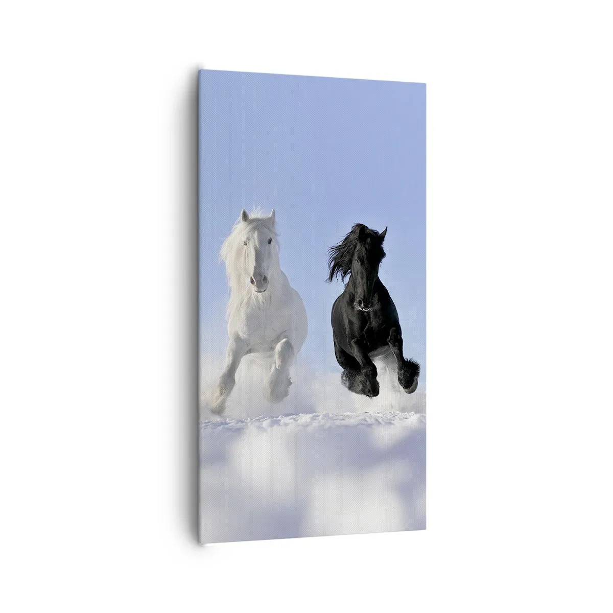 Canvas picture - Black and White Gallop - 65x120 cm