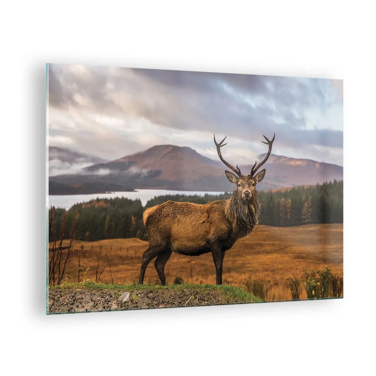 Glass picture - Deer against the backdrop of picturesque mountains and forest - 70x50cm - Majesty of Nature - Modern wall decoration for the living room and bedroom ARTTOR