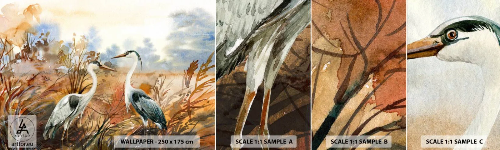 Photo Wallpaper Sample Standard Eco - Where to in Autumn? - Crane, Birds, Nature - 100x30 cm