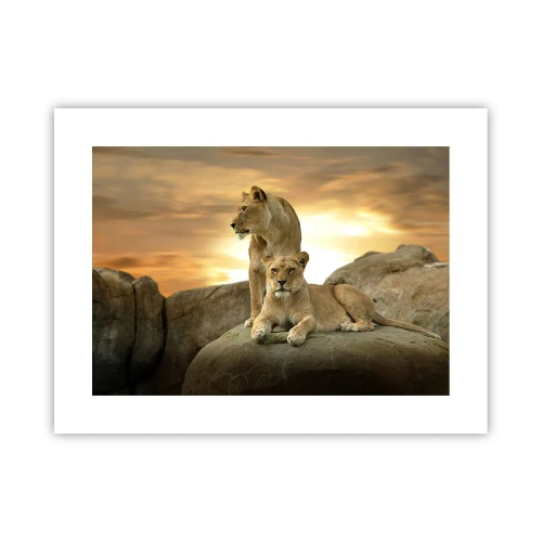 Poster - Royal Majesty - 40x30 cm