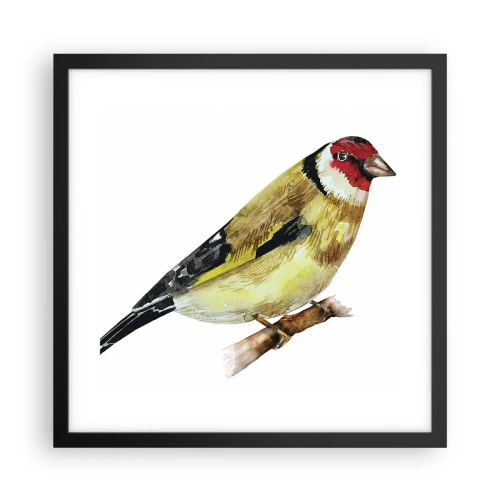 Poster in black frame - Bird Portrait  - 40x40 cm