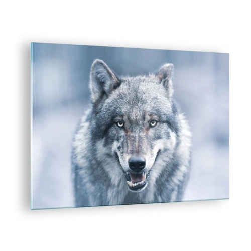 Glass picture - A wolf with a piercing gaze against the background of a snowy forest - 70x50cm - Will You Take Up the Challenge? - Modern wall decoration for the living room and bedroom ARTTOR