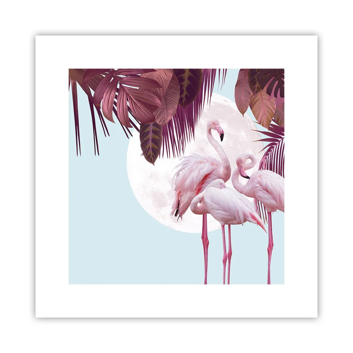 Poster - Three Bird Graces - 30x30 cm