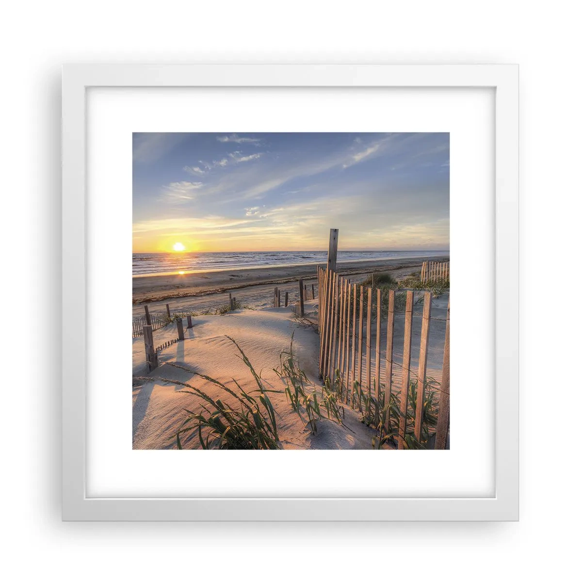 Poster in white frmae - Light and Shade of the Wind - 30x30 cm