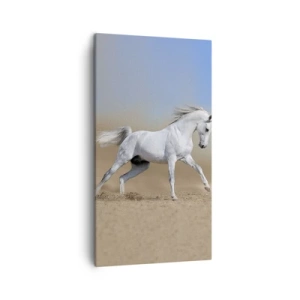 Canvas picture - The Most Beautiful Arabic Tale - 45x80 cm