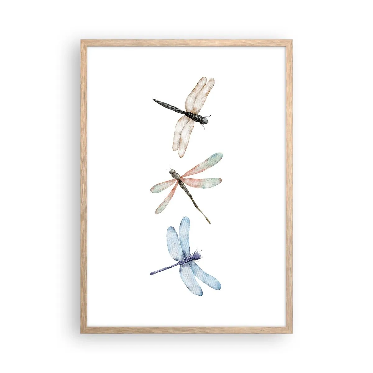 Poster in light oak frame - Lightness of Dragonflies - 50x70 cm