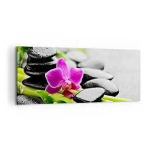 Canvas picture - In a Peaceful Balance - 100x40 cm