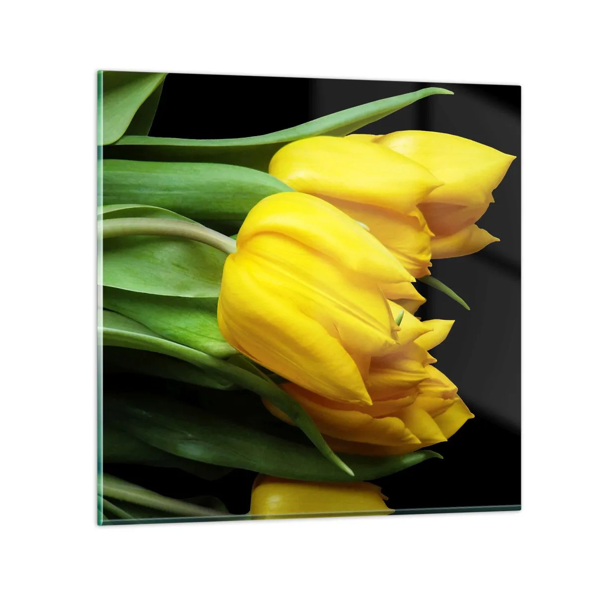 Glass picture - Born from the Sun - 50x50 cm