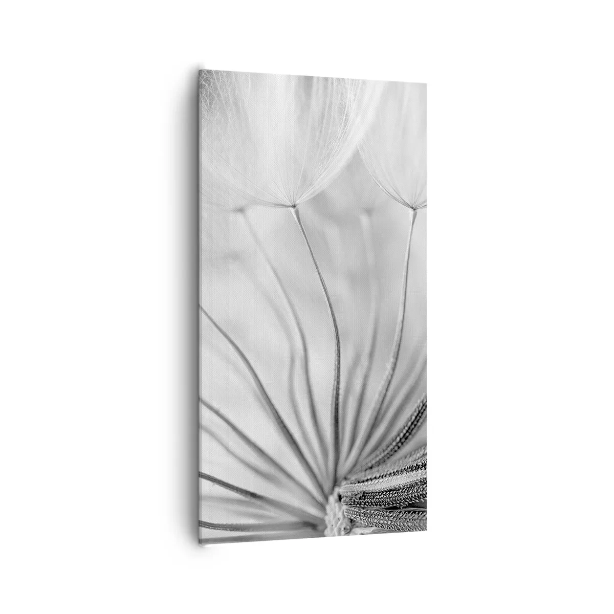 Canvas picture - Dandelion Kites - 65x120 cm
