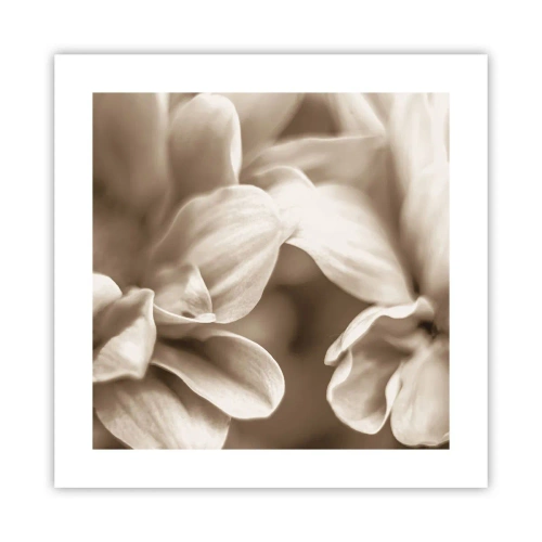 Poster - Soft as a Smile - 40x40 cm