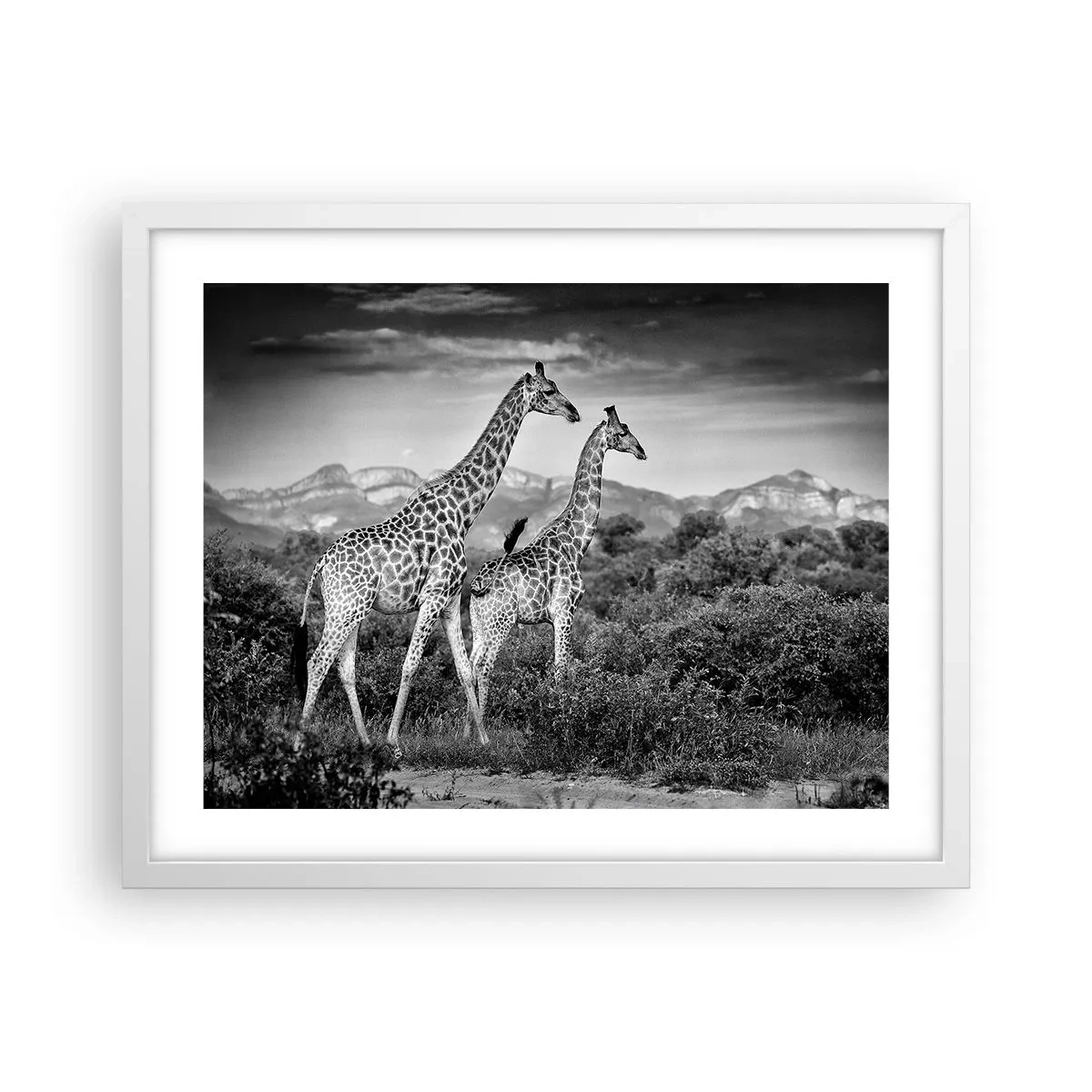 Poster in white frmae - Higher Spheres in Africa - 50x40 cm