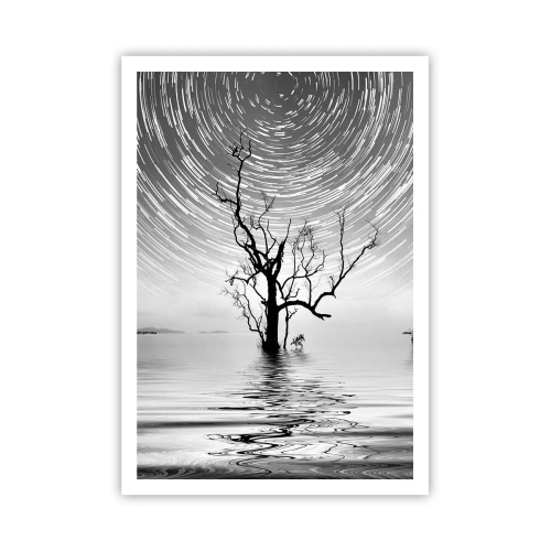 Poster - Symphony of Nature - 70x100 cm