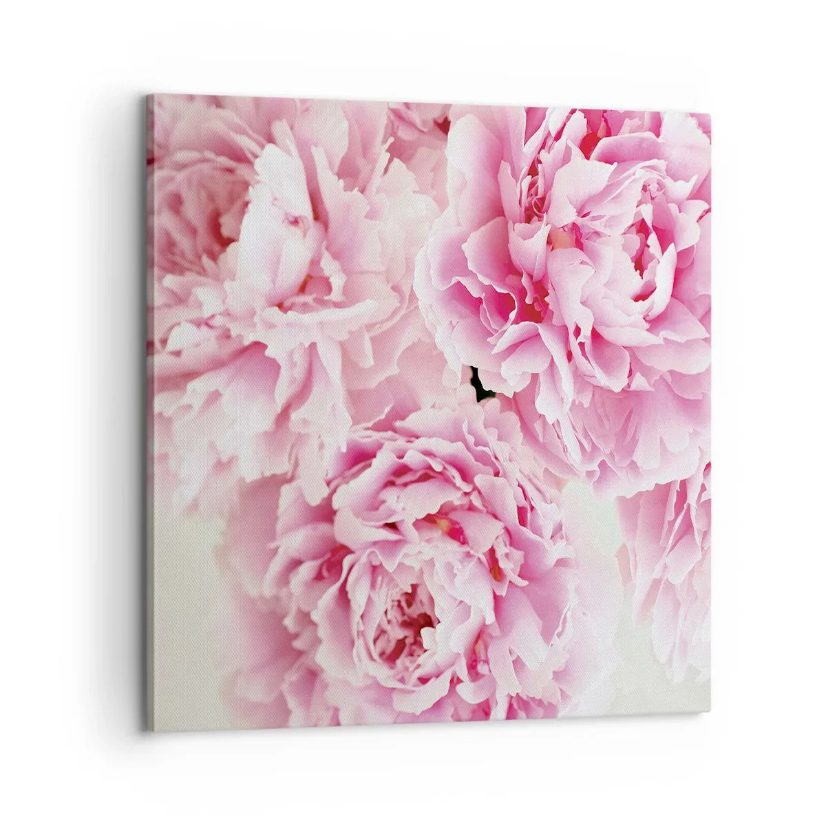 Canvas picture - In Pink Splendour - 60x60 cm