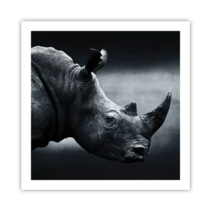 Poster - Right Profile - 60x60 cm