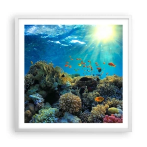 Poster in white frmae - Underwater Treasures - 60x60 cm