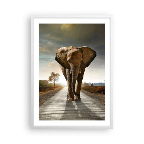 Poster in white frmae - Not in a China Shop - 50x70 cm